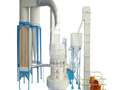 sortex machine dal mill cost and project report .